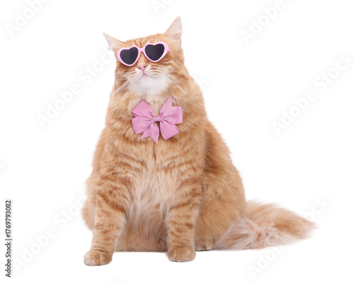 Funny orange cat in pink heart sunglasses and bow tie, isolated PNG on transparent background, cute Valentine’s Day clipart for cards, posters, and digital design projects.