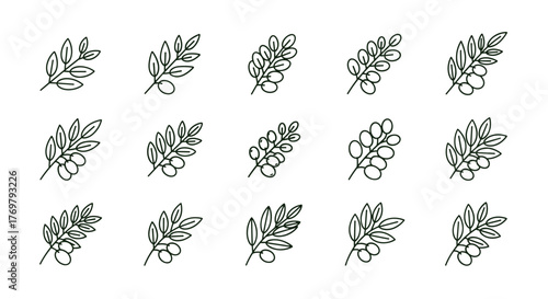 Set of 15 stylized olive branch line icons with olives, presented on a clean white background, perfect for logos, emblems, and natural branding elements, offering a minimalist and elegant aesthetic