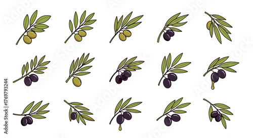 Set of stylized olive branches with green and black olives, some with dripping oil, presented in a clean vector cartoon illustration style, perfect for food and beverage branding, culinary themes