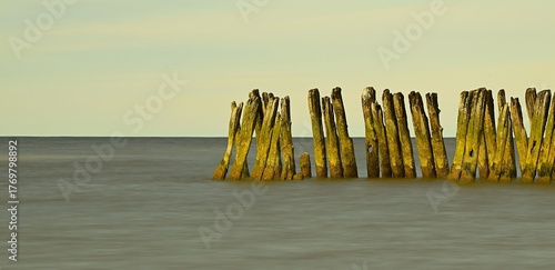 Old wooden breakwater posts in calm sea water at sunset light