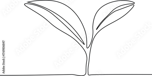 Growing plant. Sprout leaves continous one line art vector. Easily editable.