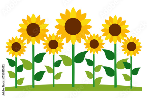 A row of yellow sunflowers with green leaves in a simple silhouette style isolated on white background