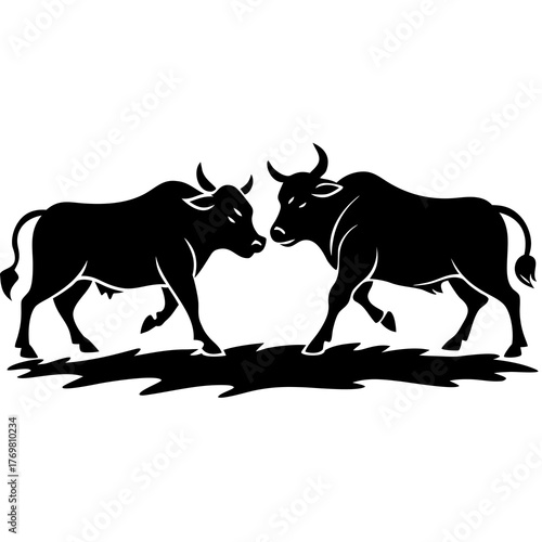 Two powerful bull silhouettes facing each other isolated on white background silhouette