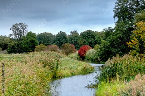 diverse autumn landscape with river, reeds and deciduous trees
