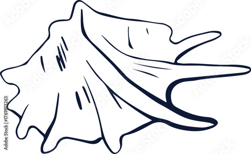 Blue Hand-drawn Nautical Shell Illustration