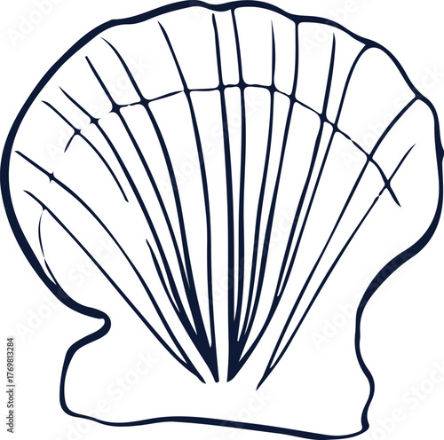 Blue Hand-drawn Nautical Shell Illustration