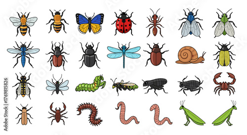 Diverse Collection of Cartoon Insects and Arthropods on a Black Background, Featuring a Bee, Butterfly, Ladybug, Ant, Fly, Beetle, Dragonfly, Snail, Scorpion, Caterpillar, and Praying Mantis, Ideal