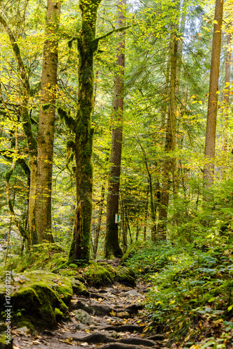Wanderung durch die Bürser Schlucht, Wandern in Österreich, Vorarlberg im Herbst. 
