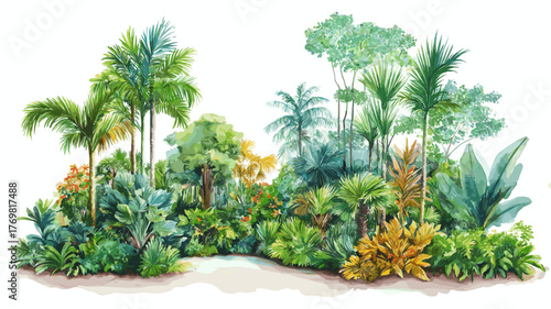 Medellin Botanical Garden. Medellin Botanical Garden hand drawn watercolor illustration