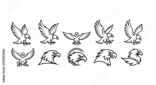 Dynamic Line Art Eagle Logo Design: A Vector Cartoon Illustration Featuring a Majestic Bird of Prey in a Clean, Ordered Line Icon Set on a White Background, Perfect for Branding and Graphic