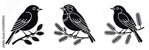 Christmas Bird Silhouette Vector Illustration – Festive Winter Robin on Pine Branch, Holiday Nature Design for Seasonal Decoration, Woodland Art, and Christmas Greeting Theme