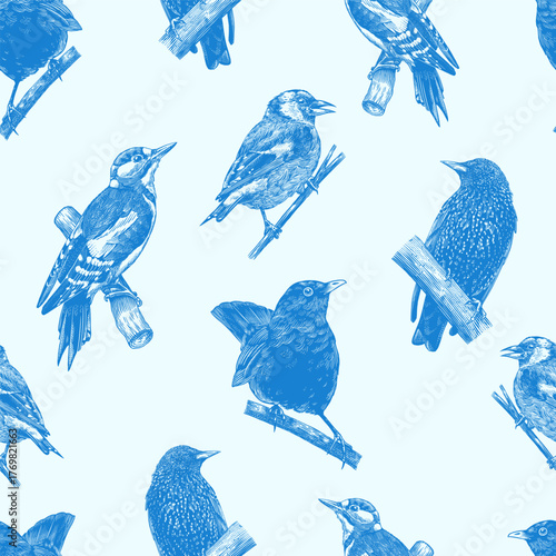 Blue forest birds seamless pattern. Toile de Jouy different species from European forests. Goldcrest, Thrush fieldfare, Robin. engraving, hatching style done with ink pen. 