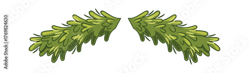 Spruce tree branches Christmas decoration