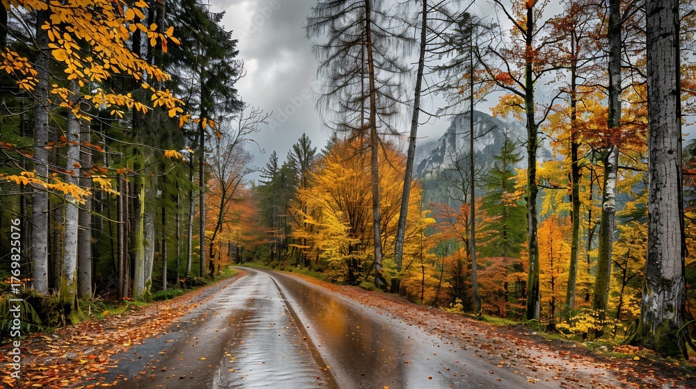 Fototapeta premium Wet road through autumn forest, vibrant foliage, mountain backdrop under overcast sky