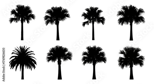 A diverse collection of eight black palm tree silhouettes.
