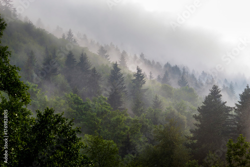Scenic natural landscape with mountains, forest, and open terrain captured in soft light. Peaceful outdoor setting ideal for travel, nature, and environmental themes.