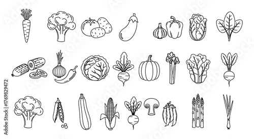 Vegetables line icon set. Vector pictograms of broccoli, potato, onion, garlic, lettuce, spinach, pepper, cucumber, pumpkin, turnip, celery, cabbage, mushroom, thin linear illustration