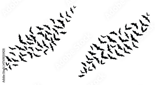 A flock of black birds takes flight in a dynamic pattern