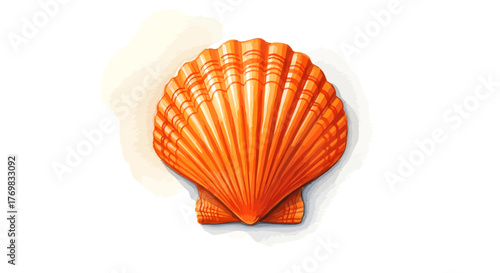 A beautifully detailed illustration of a single, vibrant orange scallop seashell isolated on a white background.