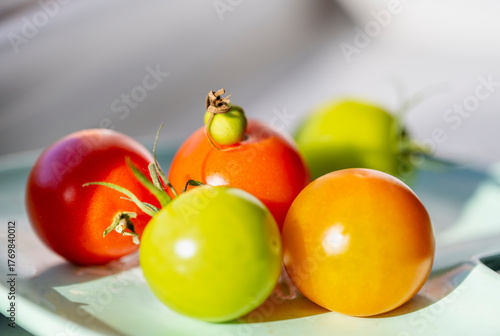 Home grown tomatoes,with baby tomato,ripening in the Autumn sun,Worcester,United Kingdom.