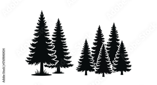 Silhouette illustration of a cluster of evergreen coniferous trees