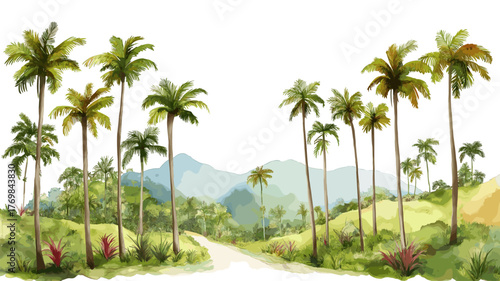 Cocora Valley. Cocora Valley hand drawn watercolor illustration