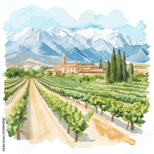 Mendoza Wine Region. Mendoza Wine Region hand drawn watercolor illustration