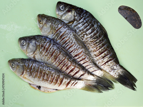 Raw peeled and gutted crucian carp on a green board. fish prepared for dinner or lunch.River organic fish
