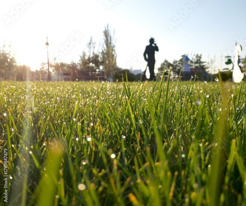 green grass with drops of morning dew in the rays of the rising sun. beauty in nature. drops of water sparkle in the sun like scattered pearls