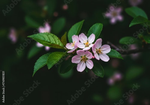 Delicate natural background featuring many small blooming flowers and lush green leaves, ideal for spring themes and soft decorative design ,template ,renewal ,delicate