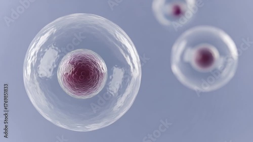 Close-Up of Human Cell Structure Under Microscope surrounded by membrane and cytoplasm concept of biology, cellular structure, and genetics