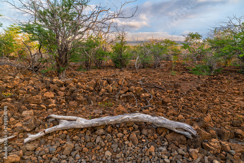 Along the Trail to Kiholo Bay on Big Island, HI