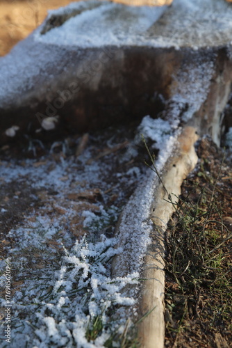 treestump dividing moarfrost and dew