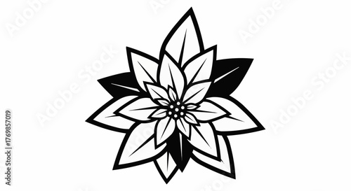 Black and white  poinsettia floral design with intricate petals and leaves  