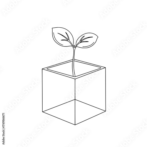 Growing plant in a cube Symbol of growth, nature, and new beginnings