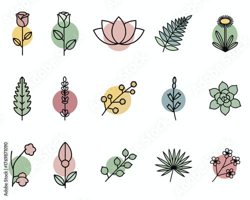 A collection of hand drawn botanical illustrations featuring various flowers and leaves with watercolor splotches in pastel colors on a white background