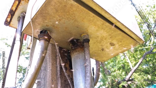 Insect nest in a electric cable circuit box, the footage showing insects flying around their nest, in Thailand.