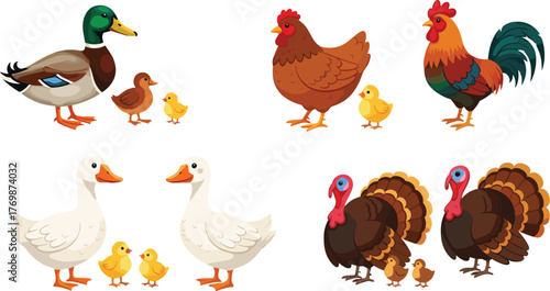 Tableau sur toile Adorable Bird Families