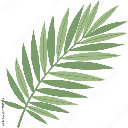 Tropical Elegance Illustrated Palm Leaf for Nature-Inspired Designs and Relaxing Summer Vibes