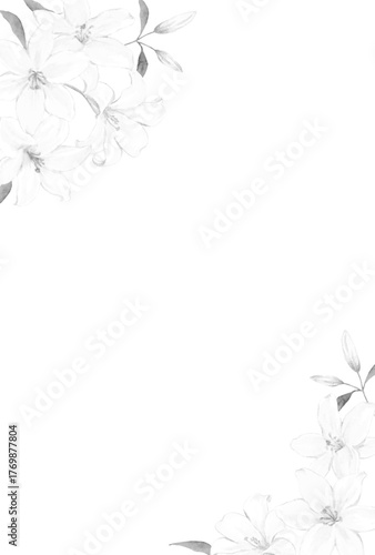 白ユリのフレーム　モノクロイラスト　喪中はがき