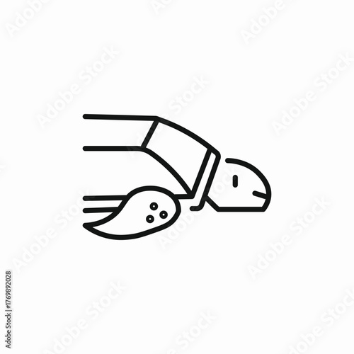 sea turtle icon sign vector