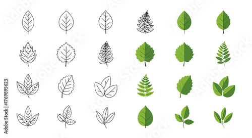 Collection of diverse leaf icons, featuring both detailed line art and vibrant fill styles, representing various tree and plant foliage, perfect for natural, eco, bio, and vegan branding and design