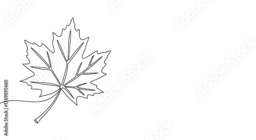 Minimalist continuous line drawing of a single autumn leaf, hand-drawn in a sketchy style, placed in the corner for decorative purposes, evoking a sense of nature and simplicity. This elegant vector