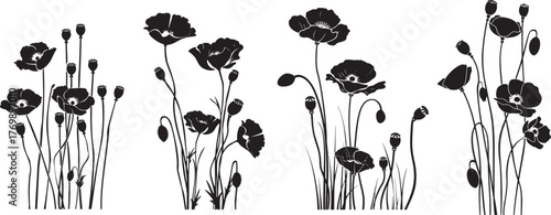 Set of black and white poppy flower silhouettes in full bloom with stems and seed pods, showcasing natural elegance and botanical variation in floral vector design.
