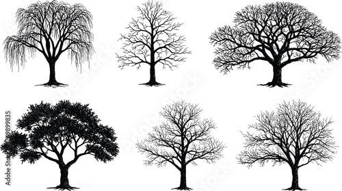 Tree silhouettes, leafless branches, weeping willow, seasonal forest, botanical shapes, nature icons, landscape elements, ecology art, vector trees, minimalist design