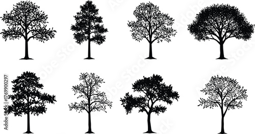Tree silhouettes, forest shapes, botanical diversity, nature icons, landscape elements, seasonal trees, foliage patterns, artistic trees, black silhouettes, vector trees