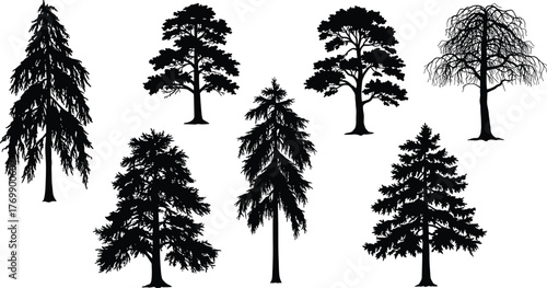 Tree silhouettes, evergreen and deciduous shapes, forest clipart, nature icons, botanical elements, landscape design, vector trees, foliage patterns, black graphics