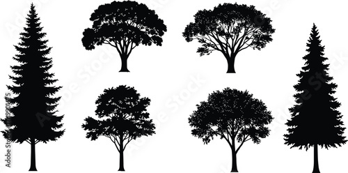 Tree silhouettes, forest shapes, botanical illustration, conifer and deciduous trees, nature icons, landscape design, black vector trees, isolated elements