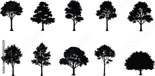  design, landscape elements, black trees, foliageforms, vectohoutanical ments, black trees, foliage forms, vector trees, isolated trees, graphic pack