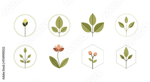 Botanical emblems floral vector graphic design elements